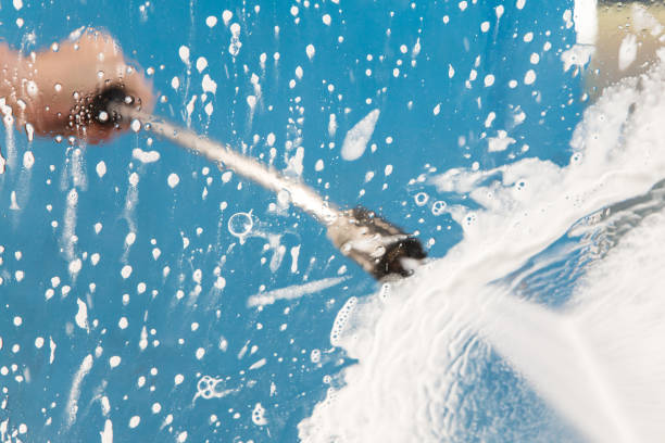 Best Roof Cleaning and Mildew Removal in Webster City, IA
