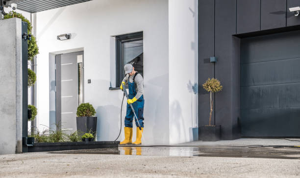 Best Brick and Stone Cleaning in Webster City, IA
